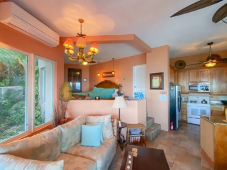 Main room at Sundowner Villa with a living area in the foreground and open kitchen and bedroom in the background.