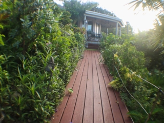 Boardwalk path boarded on both sides by green tropical vegetation leading to Sundowner Villa in the background.