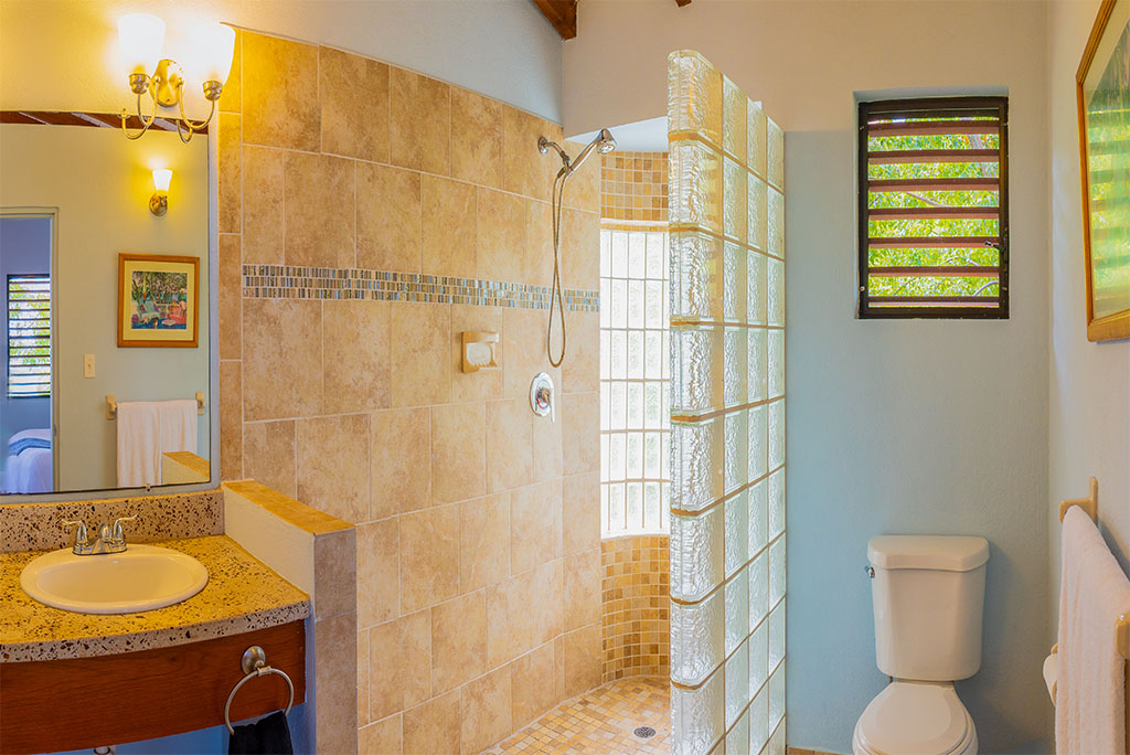 Bathroom with a stand-up shower with natural stone and glass walls and a vanity to the left and toilet on the right.